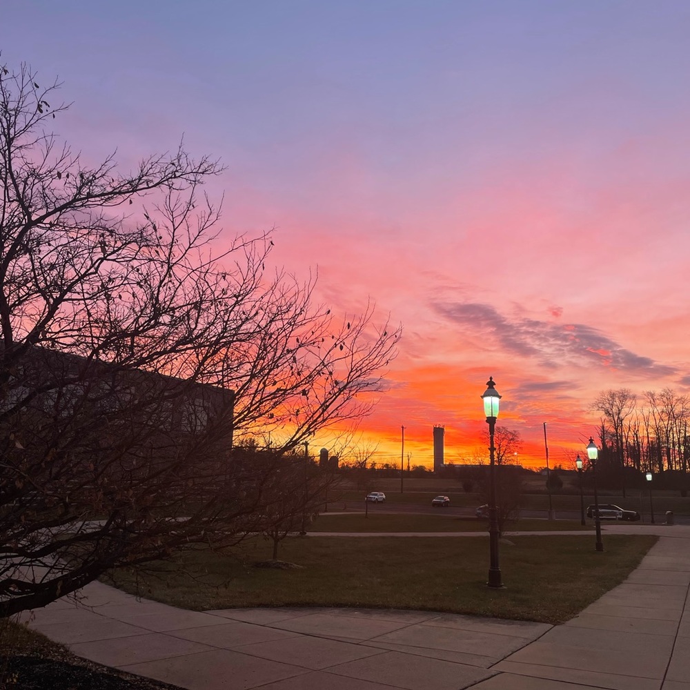 Meet your Posher, Aadya